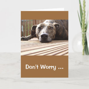 Lazy Lurcher Greetings Card