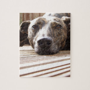 Lazy Lurcher Jigsaw Puzzle
