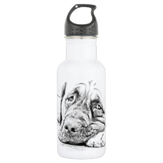 Lazy Mastiff 532 Ml Water Bottle