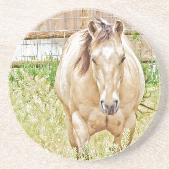 Lazy Morning Coaster (Front)