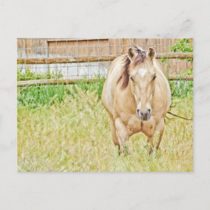 Lazy Morning Postcard