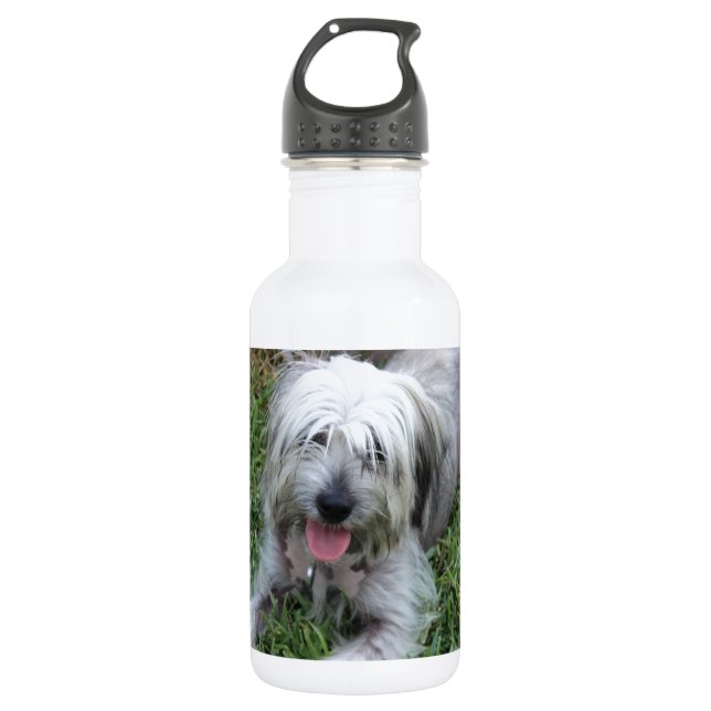 Lazy Mutt 2 532 Ml Water Bottle (Front)