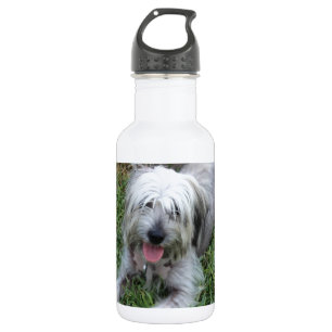 Lazy Mutt 532 Ml Water Bottle