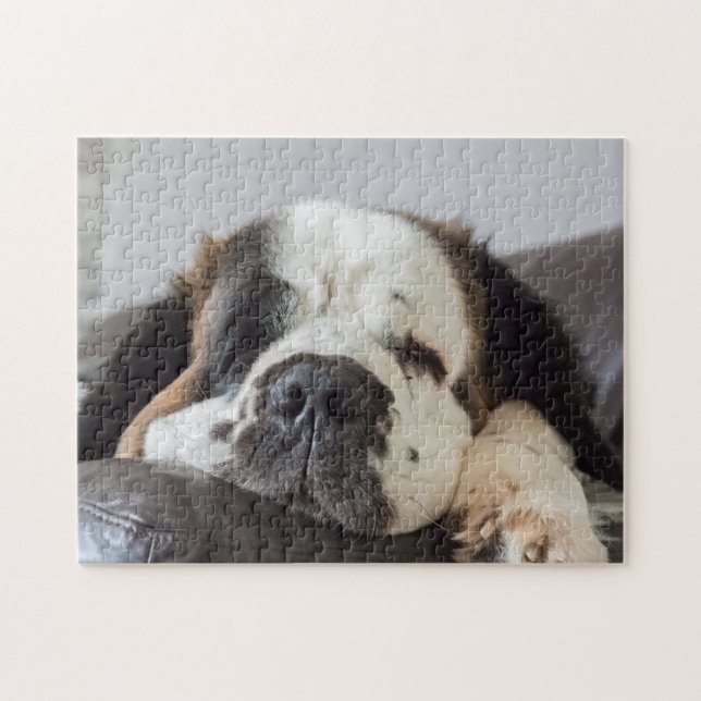 Lazy Saint Bernard dog Jigsaw Puzzle (Horizontal)