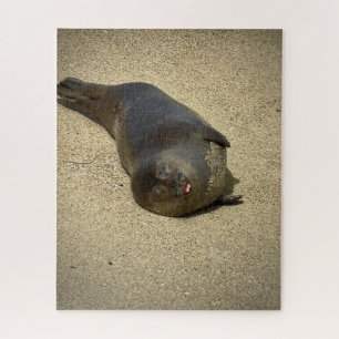 Lazy Seal Jigsaw Puzzle