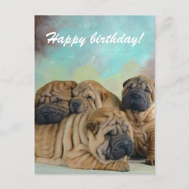 Lazy shar pei Happy birthday! card (Front)