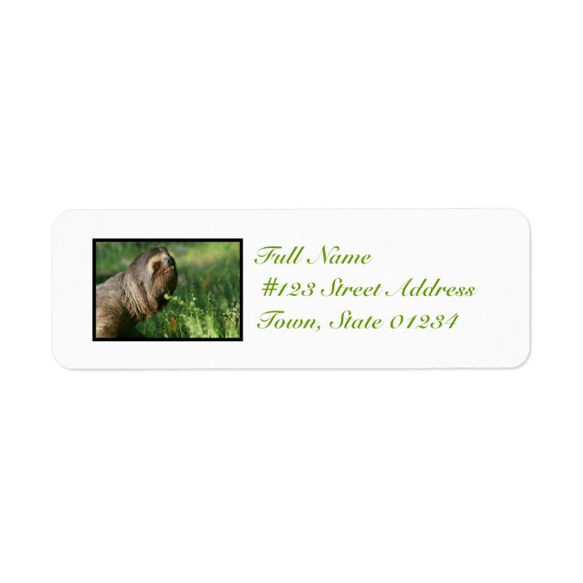 Lazy Sloth Mailing Labels (Front)