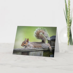 Lazy Squirrel Note Card