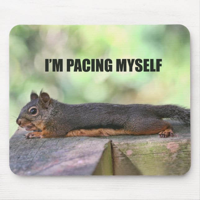 Lazy Squirrel Photo Mouse Pad (Front)