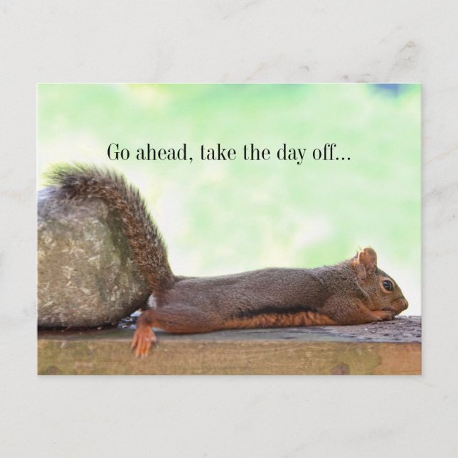 Lazy Squirrel Postcard (Front)