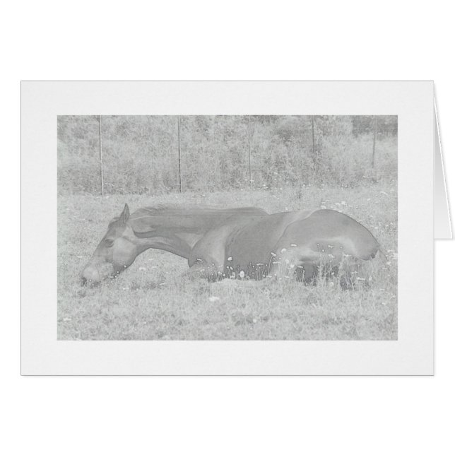 Lazy Summer Days (Front Horizontal)