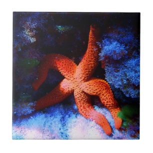 Lazy Tropical Undersea Starfish Ceramic Tile