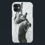 Lazy Weimaraners iPhone 11 Case<br><div class="desc">If you've ever loved a Weim,  you don't need any explanation... </div>