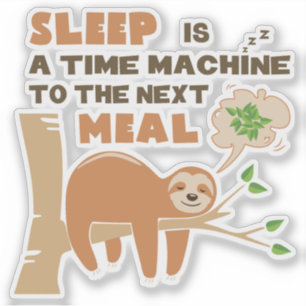 Lazybone Sloth who loves to eat & delicious food