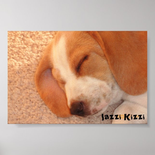 lazzi Kizzi Poster (Front)