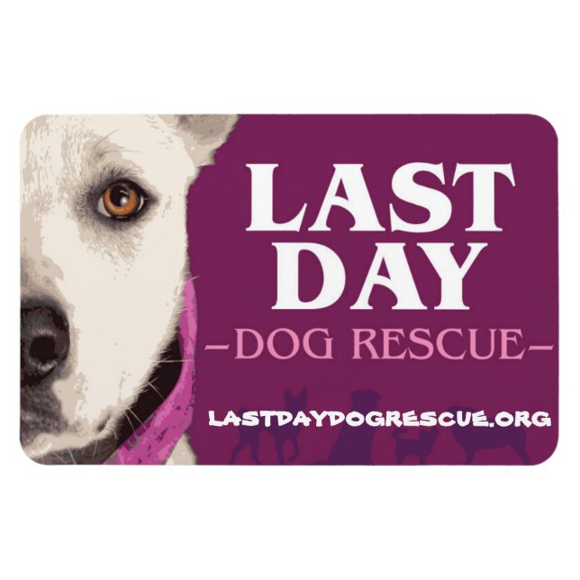 LDDR 4"x 6" logo magnet (Horizontal)