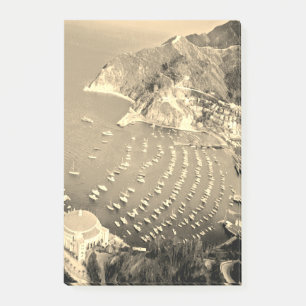 ldp SANTA CATALINA Island - California - harbour Post-it Notes