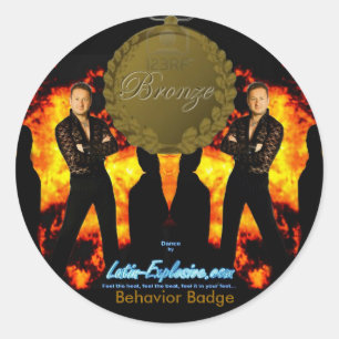 LE Bronze Badge Behaviour Stickers