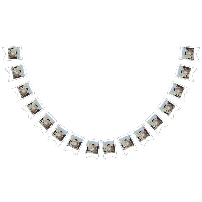 Le Cat du Cafe Bunting (All)