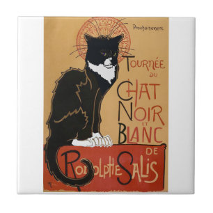 Le Chat Noir et Blanc Ceramic Tile