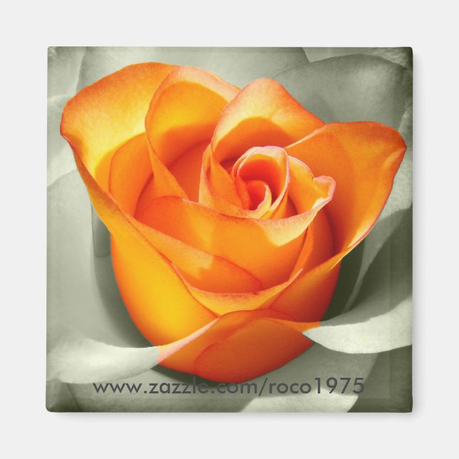 Le coeur d'une rose magnet (Front)