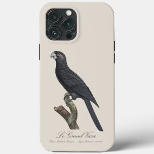 Le Grand Vaza / Greater Vasa Parrot iPhone 13 Pro Max Case