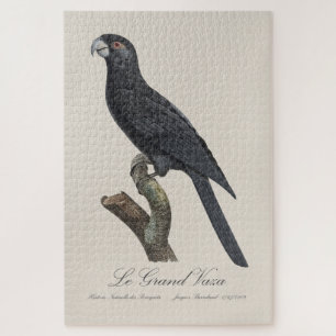 Le Grand Vaza / Greater Vasa Parrot Jigsaw Puzzle