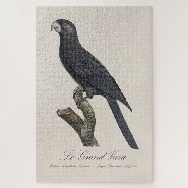 Le Grand Vaza / Greater Vasa Parrot Jigsaw Puzzle (Vertical)