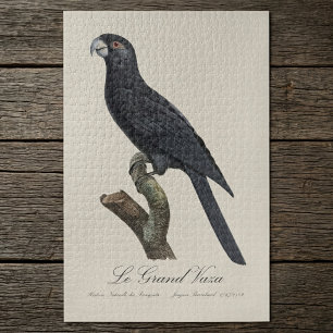 Le Grand Vaza / Greater Vasa Parrot Jigsaw Puzzle