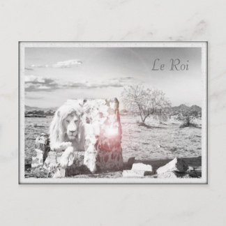 Le Lion Roi carte postale Postcard
