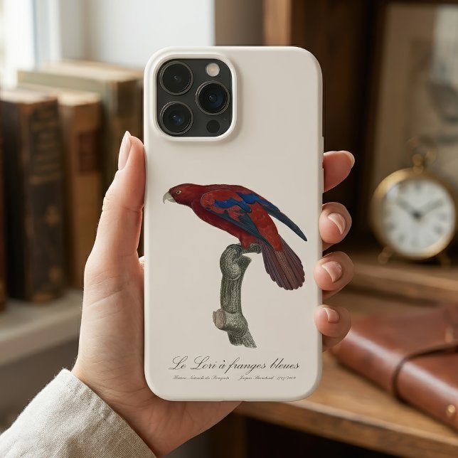 Le Lori a franges bleues  Case-Mate iPhone Case (Long-Tailed Red Lory, Trichoglossus borneus. iPhone Case)