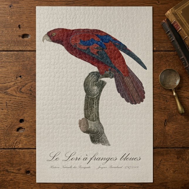 Le Lori a franges bleues  Jigsaw Puzzle (Long-Tailed Red Lory, Trichoglossus borneus. Jigsaw Puzzle)