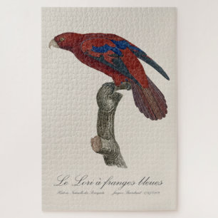 Le Lori a franges bleues  Jigsaw Puzzle