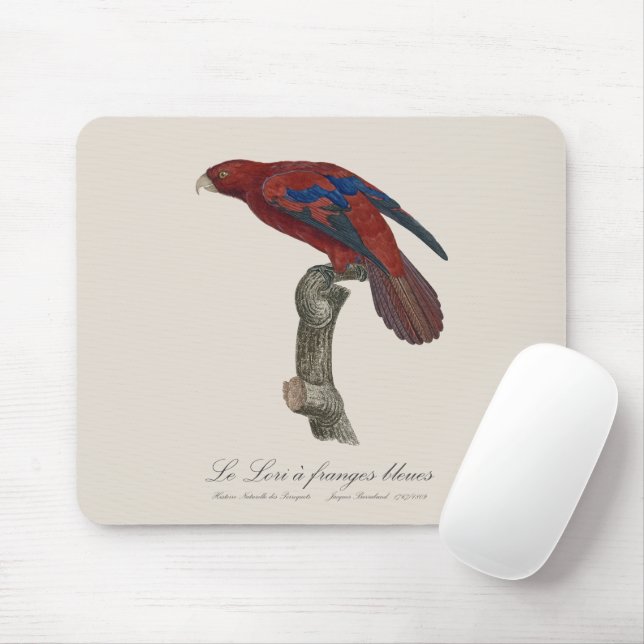Le Lori a franges bleues  Mouse Pad (With Mouse)