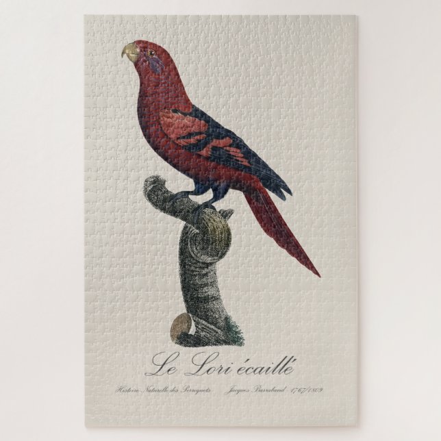 Le Lori ecaille / Blue-streaked lory  Jigsaw Puzzle (Vertical)