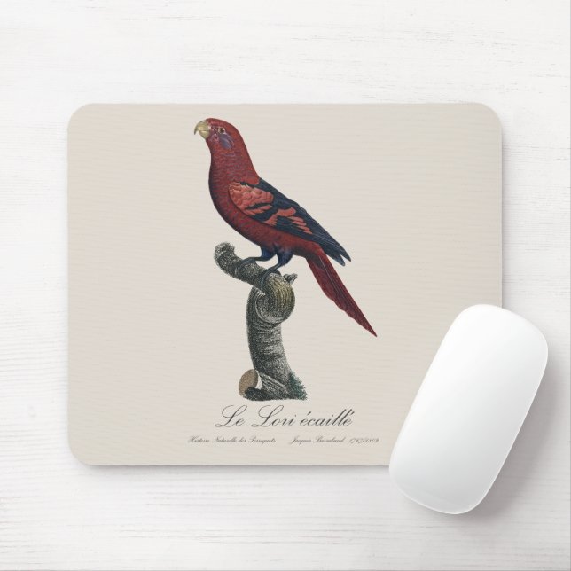 Le Lori ecaille / Blue-streaked lory  Mouse Pad (With Mouse)