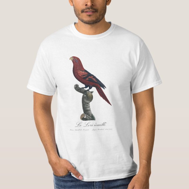 Le Lori ecaille / Blue-streaked lory  T-Shirt (Front)