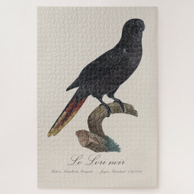 Le Lori noir / Black lory  Jigsaw Puzzle (Vertical)