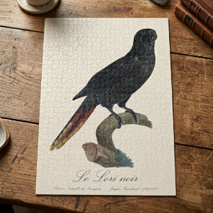 Le Lori noir / Black lory  Jigsaw Puzzle