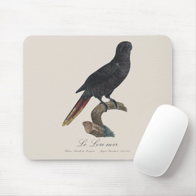 Le Lori noir / Black lory  Mouse Pad (With Mouse)