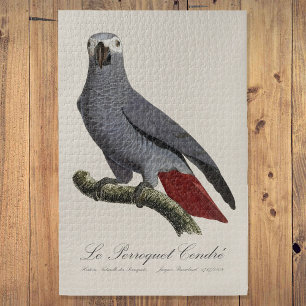Le Perroquet Cendre - 19th century illustration  Jigsaw Puzzle