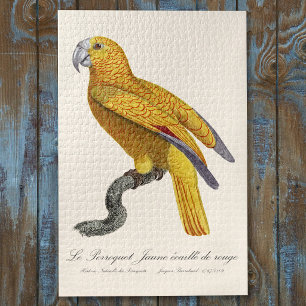 Le Perroquet Jaune ecaille de rouge  Jigsaw Puzzle
