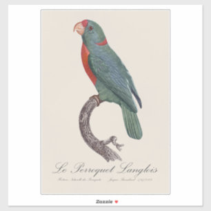 Le Perroquet Langlois 