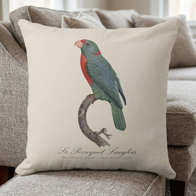 Le Perroquet Langlois by Jacques Barraband Cushion (Le Perroquet Langlois by Jacques Barraband. Throw Pillow)