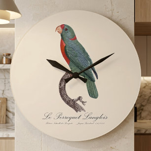 Le Perroquet Langlois by Jacques Barraband Large Clock