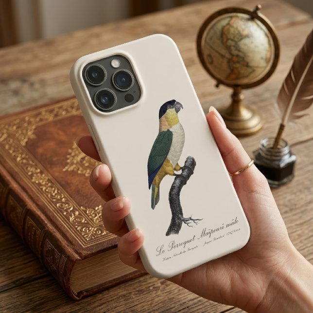 Le Perroquet Maipouri  / Black-headed parrot  Case-Mate iPhone Case (Black-Headed Male Parrot, Pionites Melanocephalus. iPhone Case)