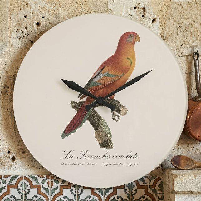 Le Perruche ecarlate  Large Clock (Red Lory or Eos Bornea, Trichoglossus borneus. Large Clock)