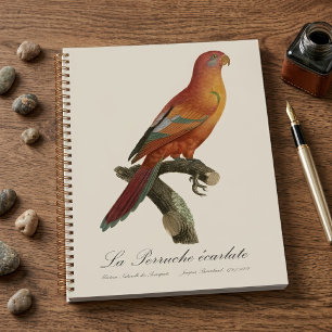 Le Perruche ecarlate Planner