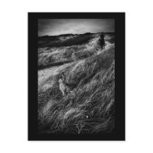 Le Rendez-vous d'Alice Wonderland fine art photo