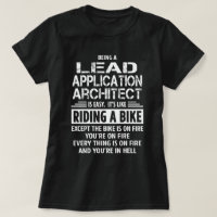 Lead Application Architect